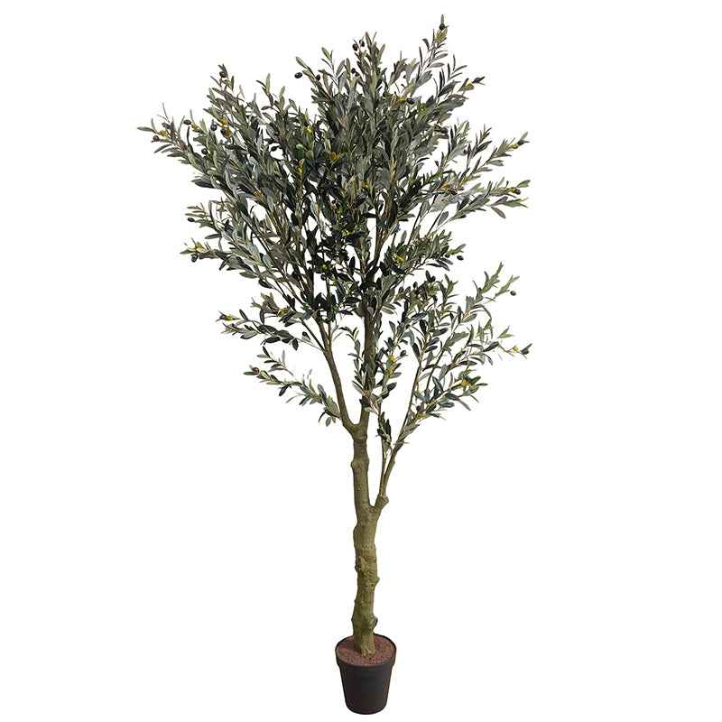 Olajfa műnövény 150 cm