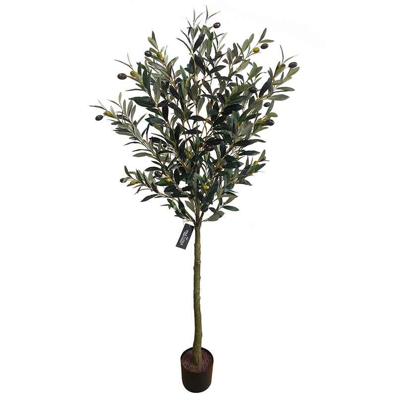Olajfa műnövény 150 cm