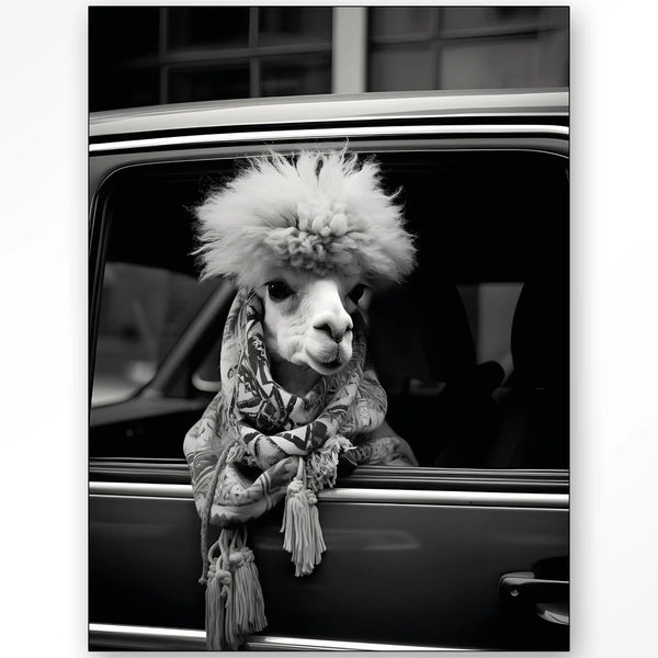 Alpaca In Taxi dizájn vászonkép
