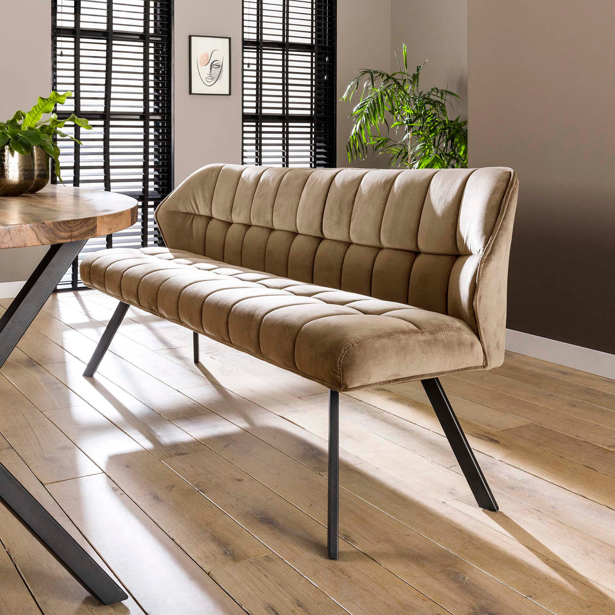 Zistra 036 bársony pad