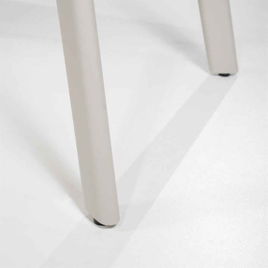 Dining table Dion 260x110 cm