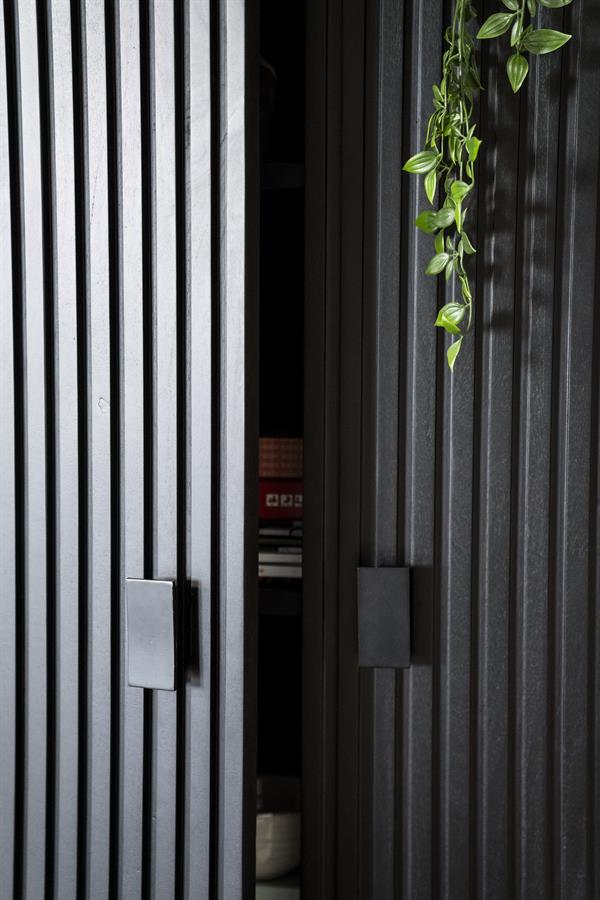 Cabinet Remi 2drs - black