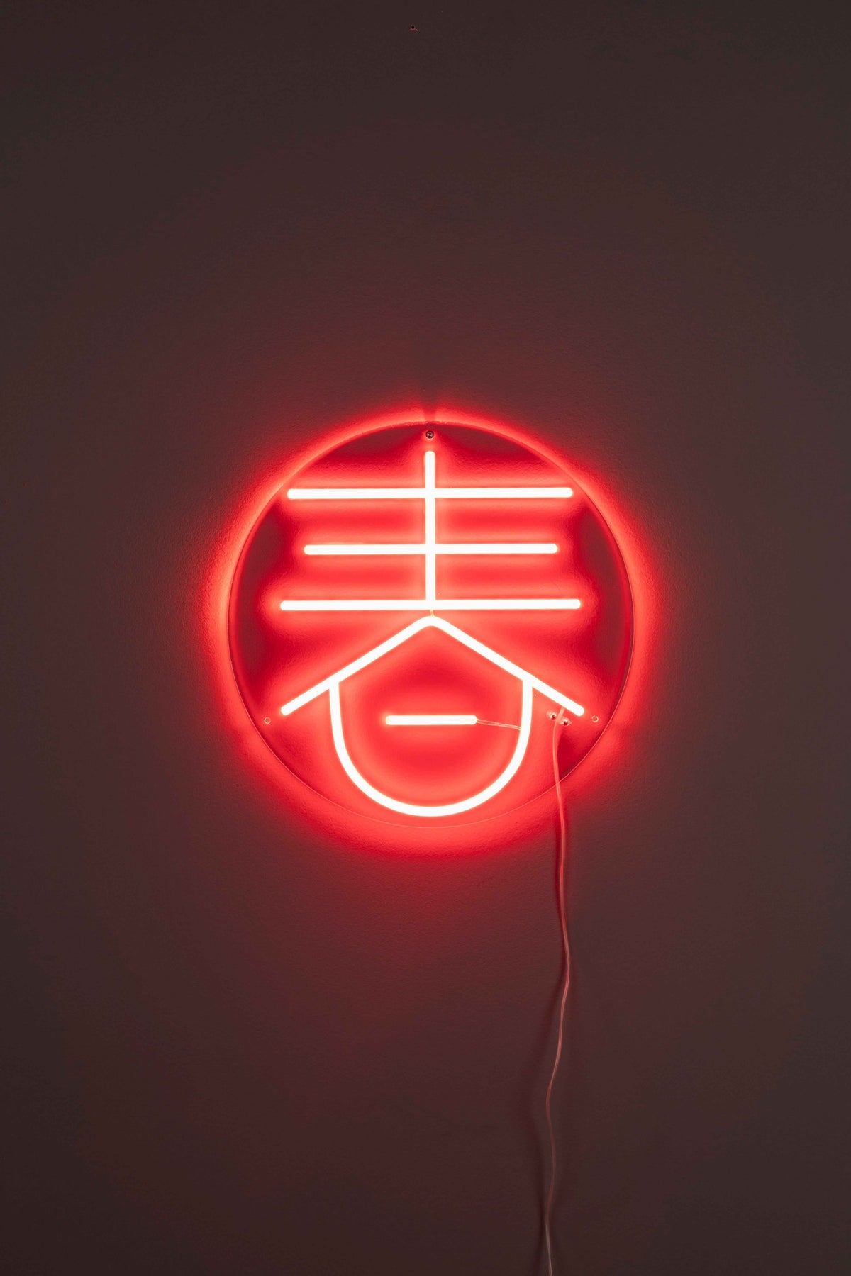 Neon Wall Light Sya Spring