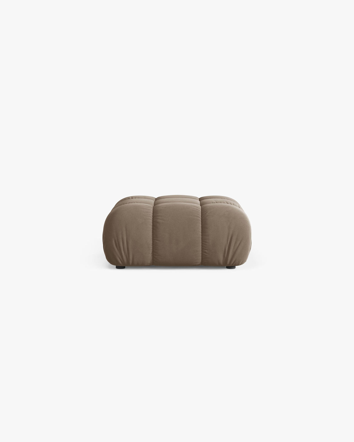 Bellis puff