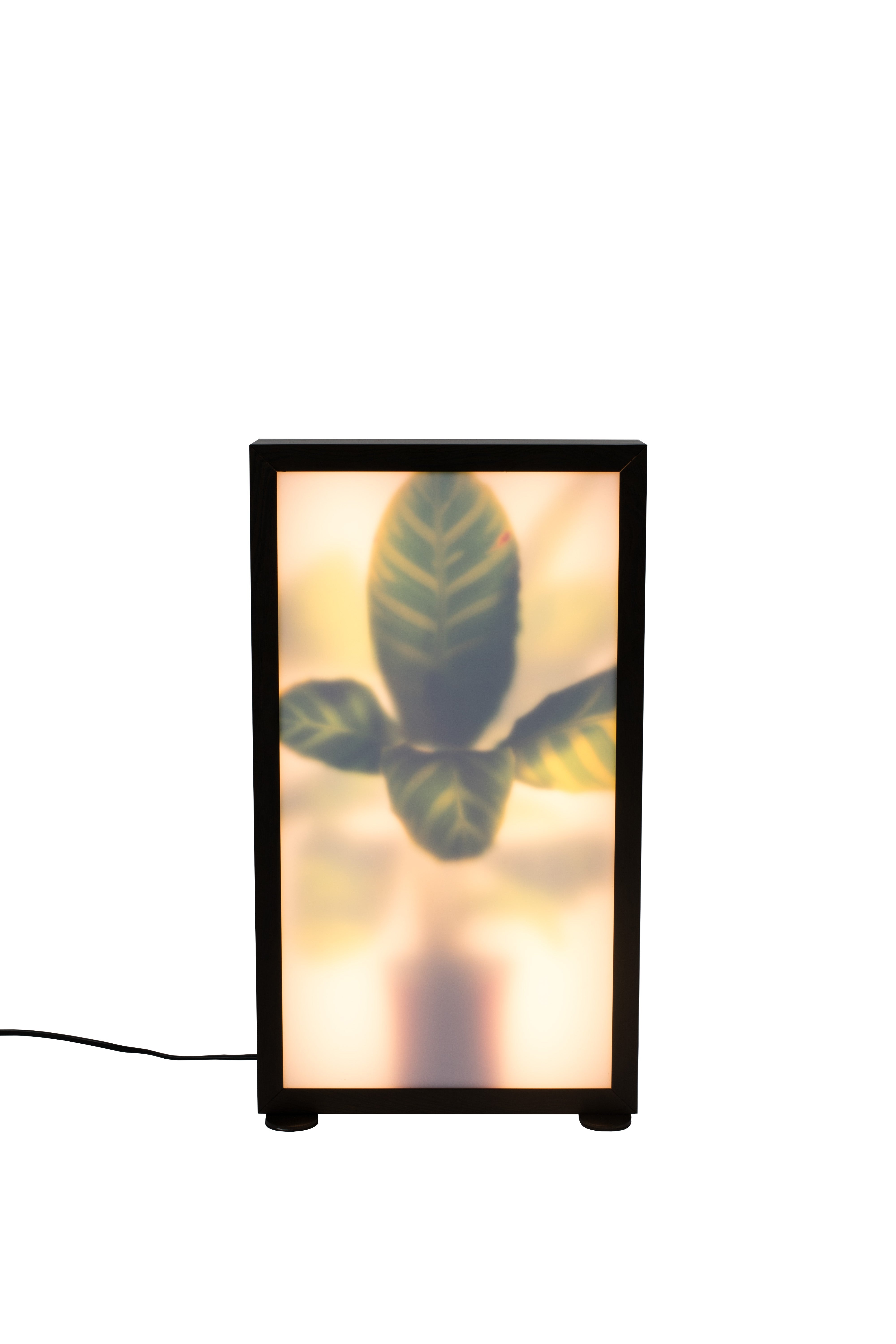 Grow akrill állólámpa M-0