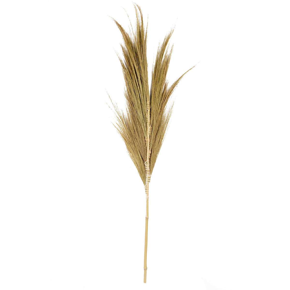 Mini Hay Plume dekorációs fűszál