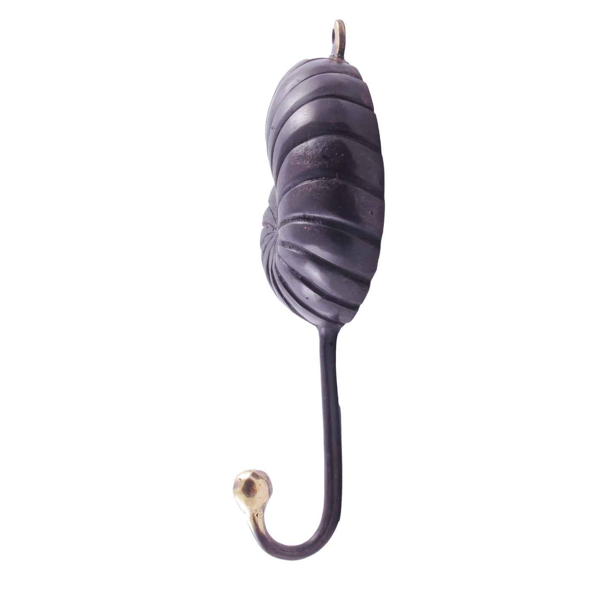 Nautilus Fogashorog