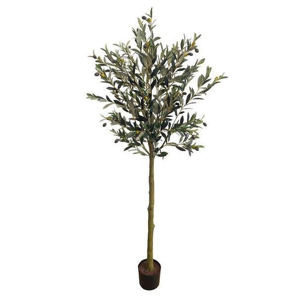Olajfa műnövény 150 cm