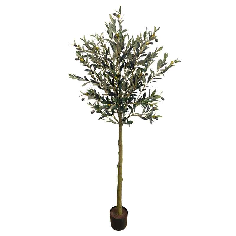 Olajfa műnövény 150 cm