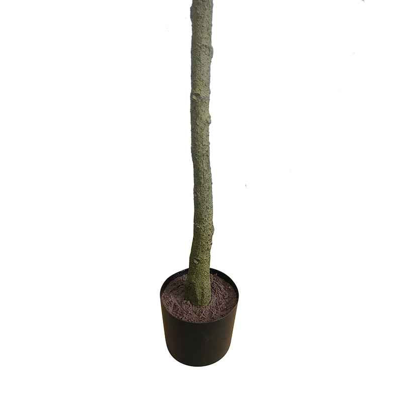 Olajfa műnövény 150 cm