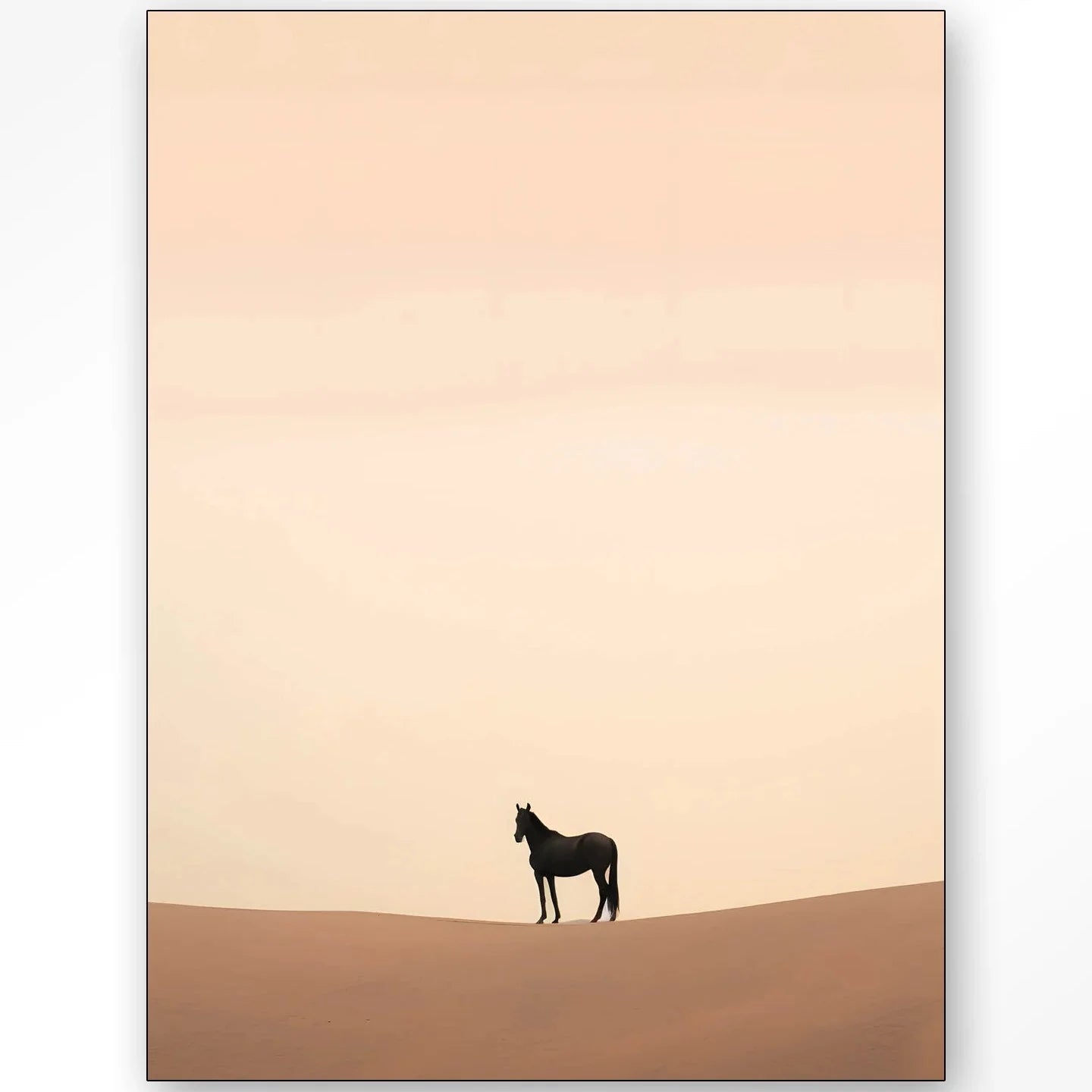 Desert Horse dizájn vászonkép