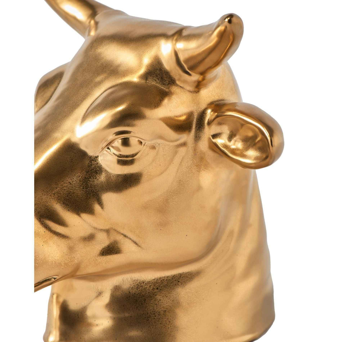 Don’t eat me, save me tehén persely