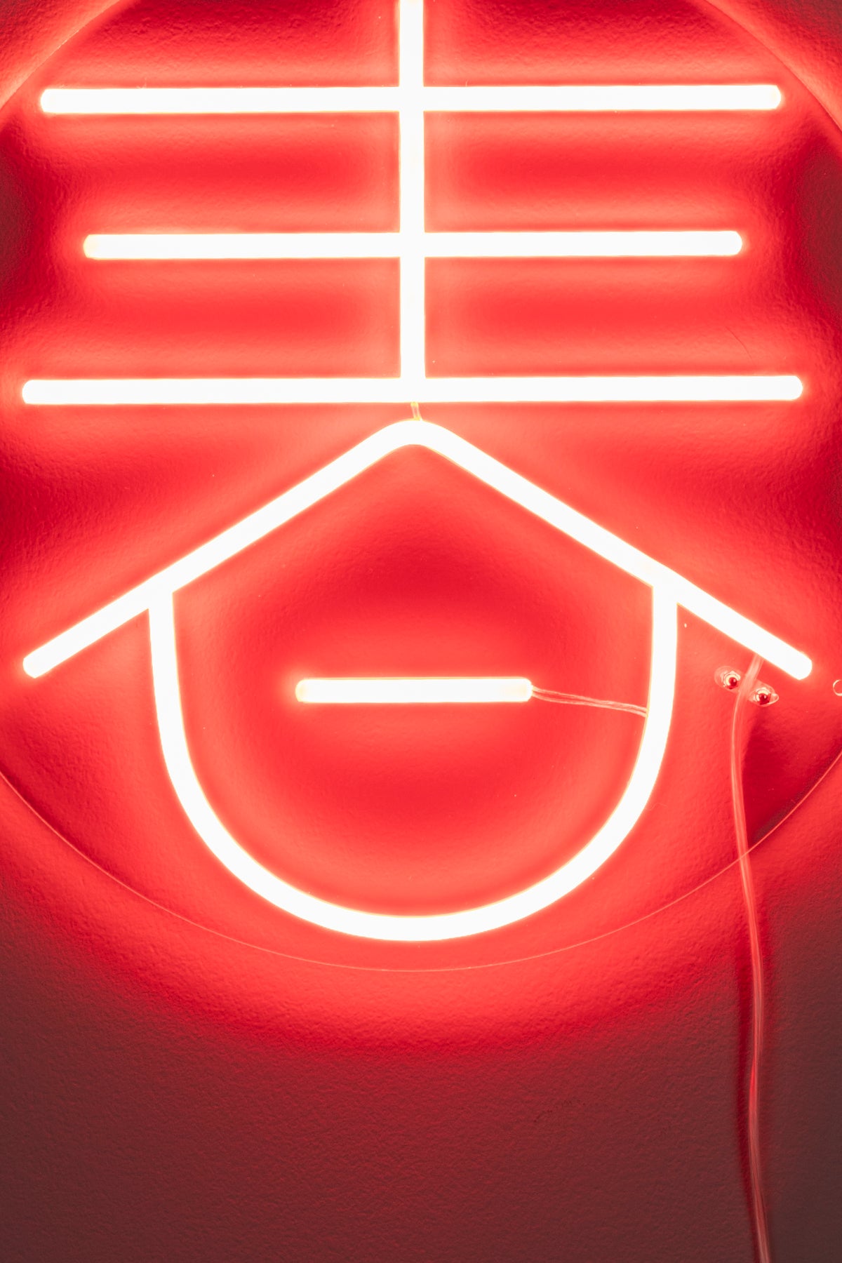 Sya Spring neon fali lámpa