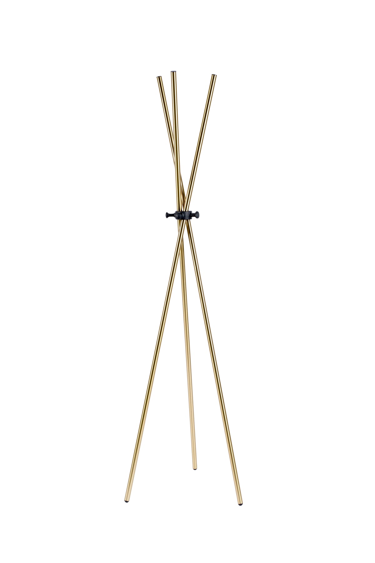Darwin fogasállvány